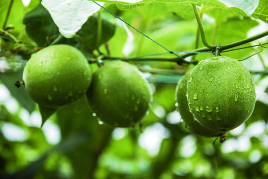 Is Monk Fruit A Healthy Sweetener?