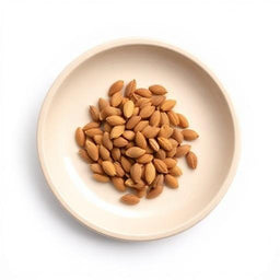 Mimosa Seeds