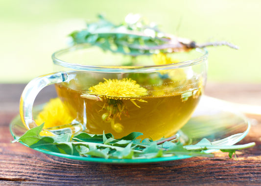 9 Incredible Dandelion Root Benefits + 7 Unique Tea Recipes