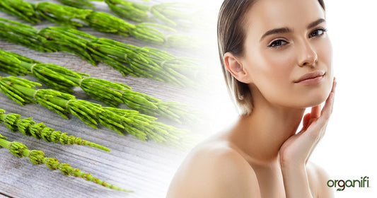 9 Horsetail Benefits You Need To Know About