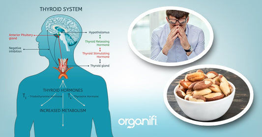 It's Not Stress, It's The Thyroid