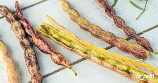 The Top 7 Benefits of Mesquite Powder