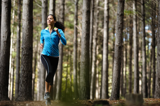 What is Pine Bark Extract? Benefits, Uses and More