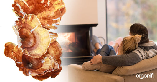 Magnesium And Red Reishi - The Magic Duo For Good Sleep