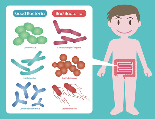 10 Different Ways To Get Probiotics This Week