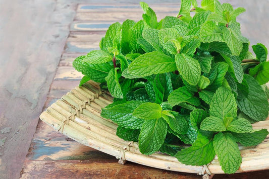 7 Healthy Ways To Use Fresh Mint This Week