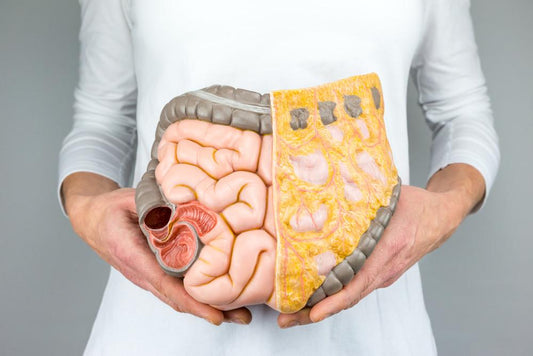 The Shocking Truth About Gut Health and Probiotics