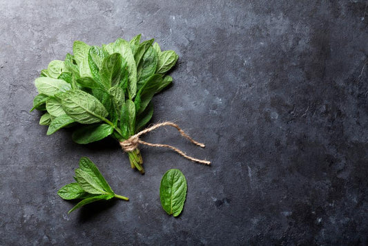 9 Powerful Ways Mint Remedies Your Body