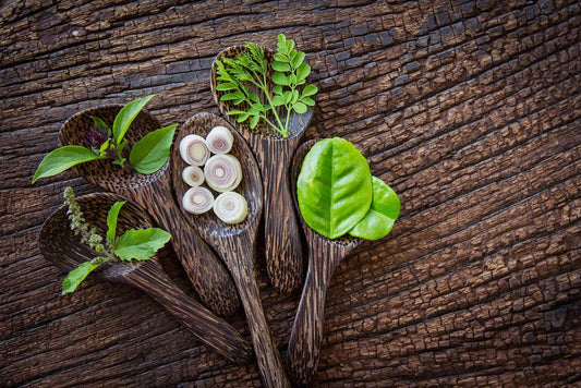 This Is Why Moringa Should Be The First Thing You Drink Every Morning