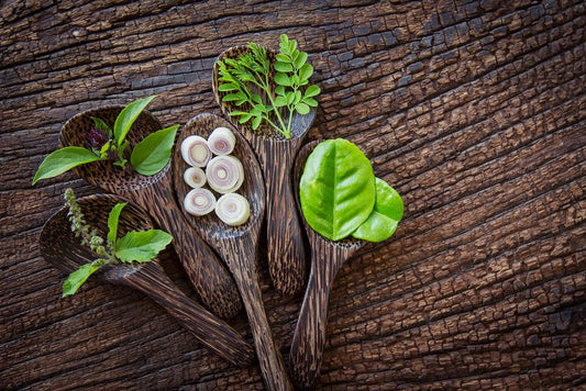 This Is Why Moringa Should Be The First Thing You Drink Every Morning