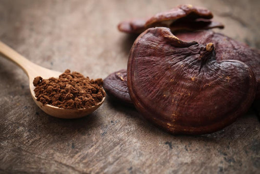 5 Benefits Of Reishi Mushroom For Skin